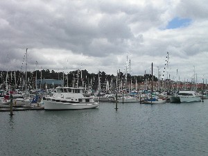 Gulf Harbour Marina